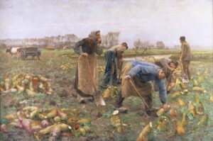 Bietenoogst Emile Claus verzameling mudel